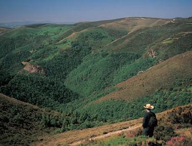 Sierra de la Bobia