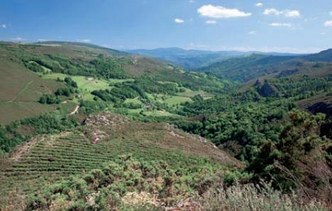 Vistas de San Mamed desde la Senda
